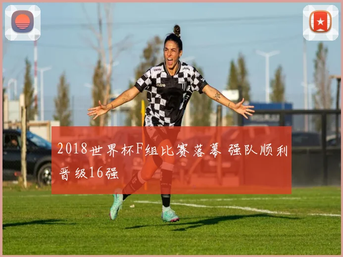 2018世界杯F组比赛落幕 强队顺利晋级16强