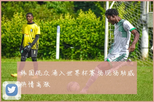 韩国观众涌入世界杯赛场现场助威热情高涨