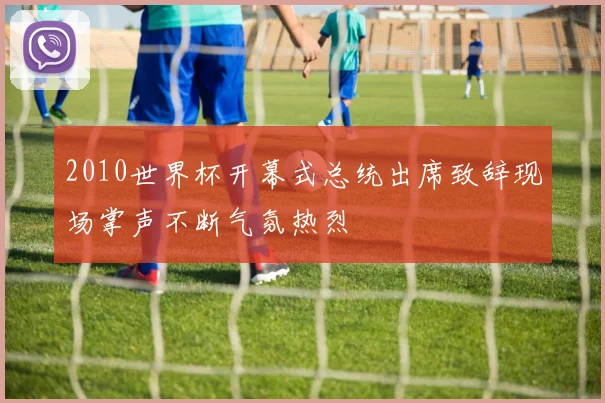 2010世界杯开幕式总统出席致辞现场掌声不断气氛热烈