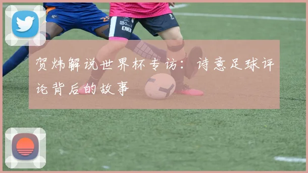 贺炜解说世界杯专访：诗意足球评论背后的故事