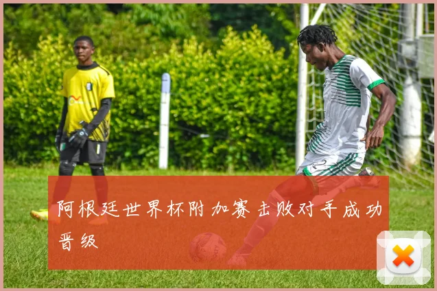 阿根廷世界杯附加赛击败对手成功晋级