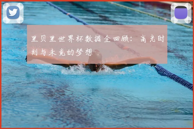 里贝里世界杯数据全回顾：高光时刻与未竟的梦想