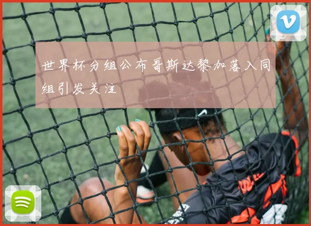 世界杯分组公布哥斯达黎加落入同组引发关注