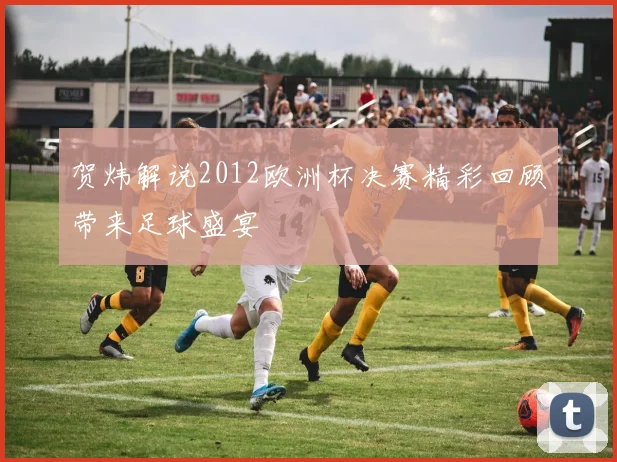 贺炜解说2012欧洲杯决赛精彩回顾带来足球盛宴