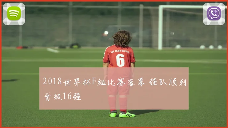 2018世界杯F组比赛落幕 强队顺利晋级16强