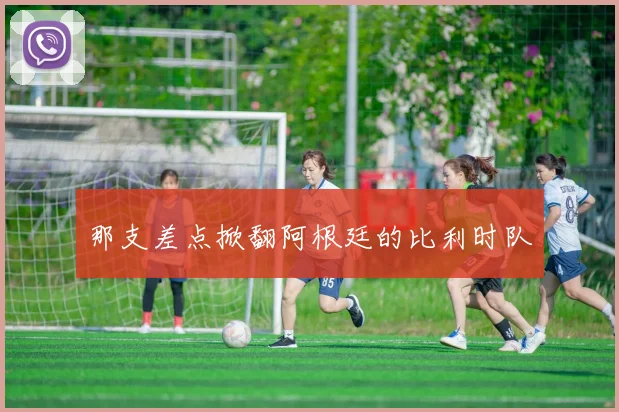 那支差点掀翻阿根廷的比利时队