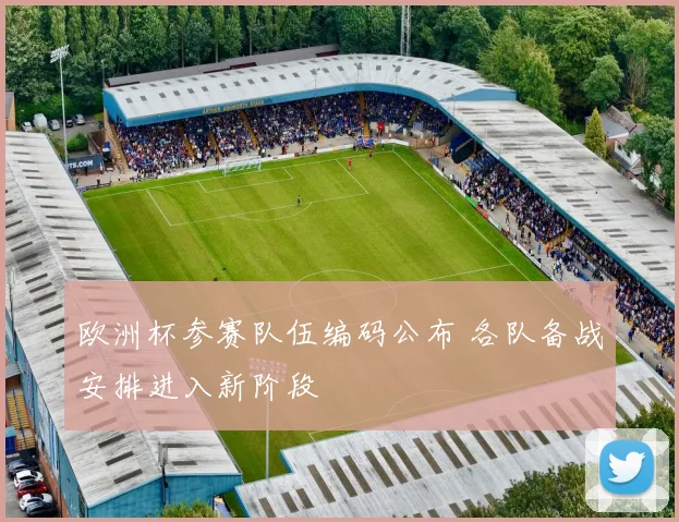 欧洲杯参赛队伍编码公布 各队备战安排进入新阶段