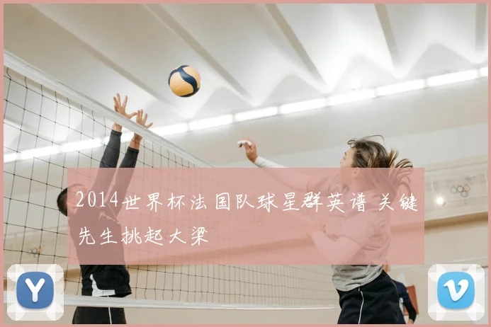 2014世界杯法国队球星群英谱 关键先生挑起大梁