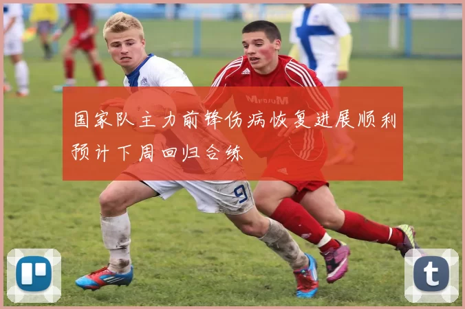 国家队主力前锋伤病恢复进展顺利预计下周回归合练