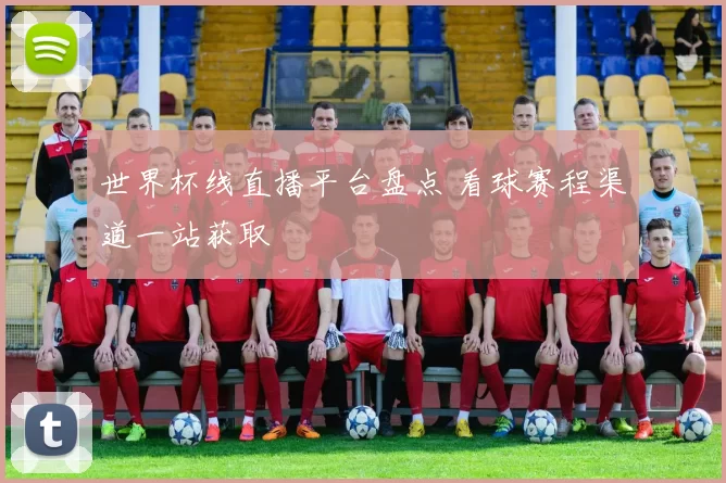 世界杯线直播平台盘点 看球赛程渠道一站获取