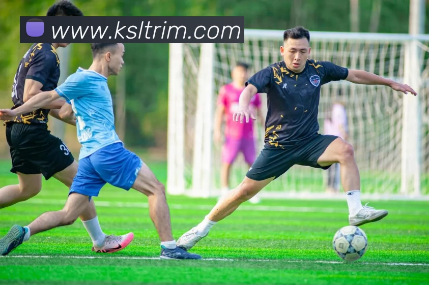 多媒体互动体验